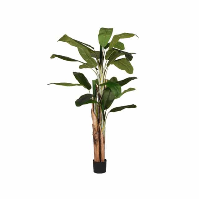 Label51 Musa 8211 Groen 8211 Kunststof 8211 180 Cm