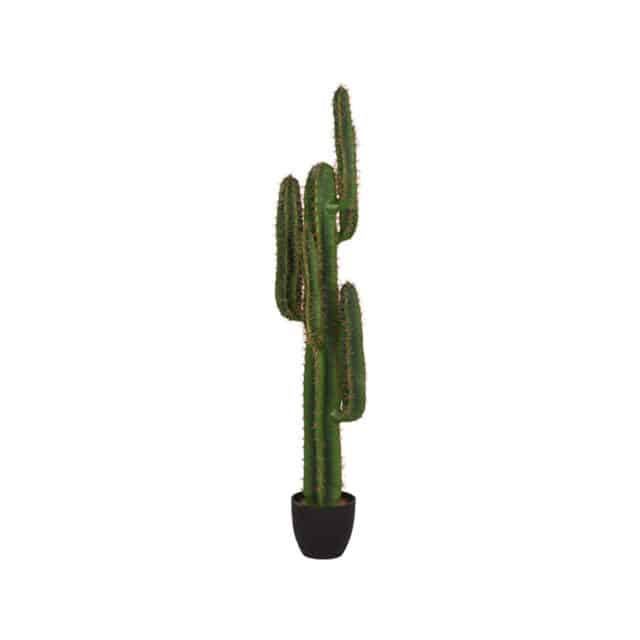 Label51 Cactus 8211 Groen 8211 Kunststof 8211 130 Cm