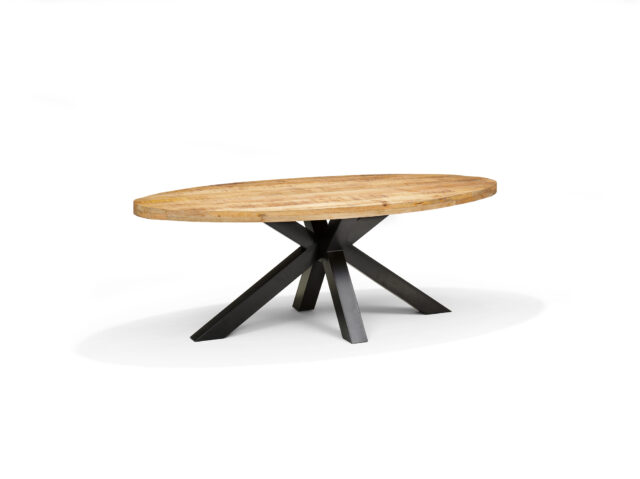 Eetkamertafel Stenvad 8211 Mangohout 8211 200x100cm Ovaal