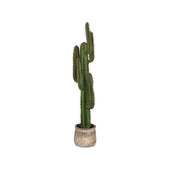 Cactus 8211 Groen 8211 Kunststof 8211 130 Cm