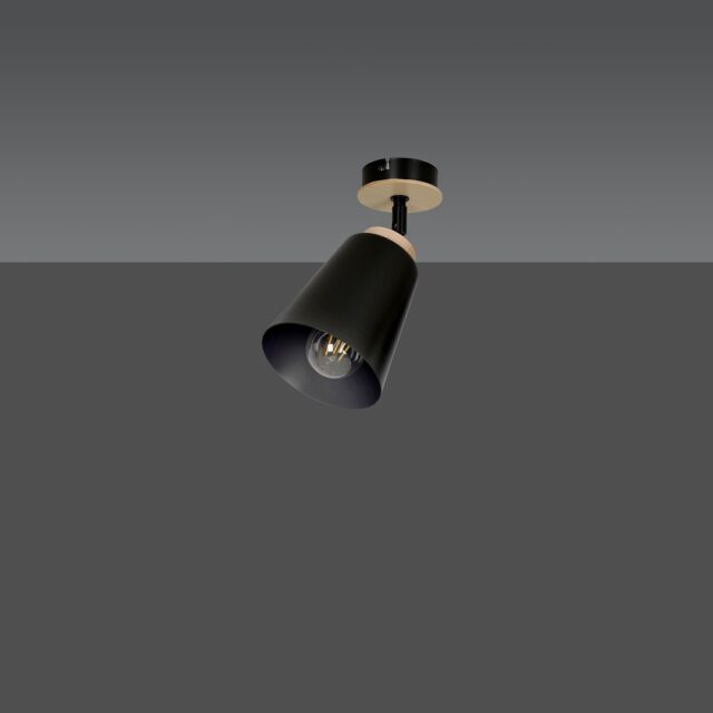 Plafondlamp Atlas 8211 Zwart 8211 Spot