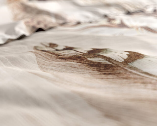 Furtails Zand 140 X 200 220 1 X Kussensloop 60 X 70